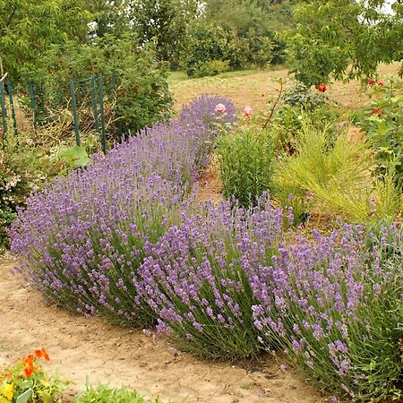 Au Pichet Bed & Breakfast Saint-Orens Room photo