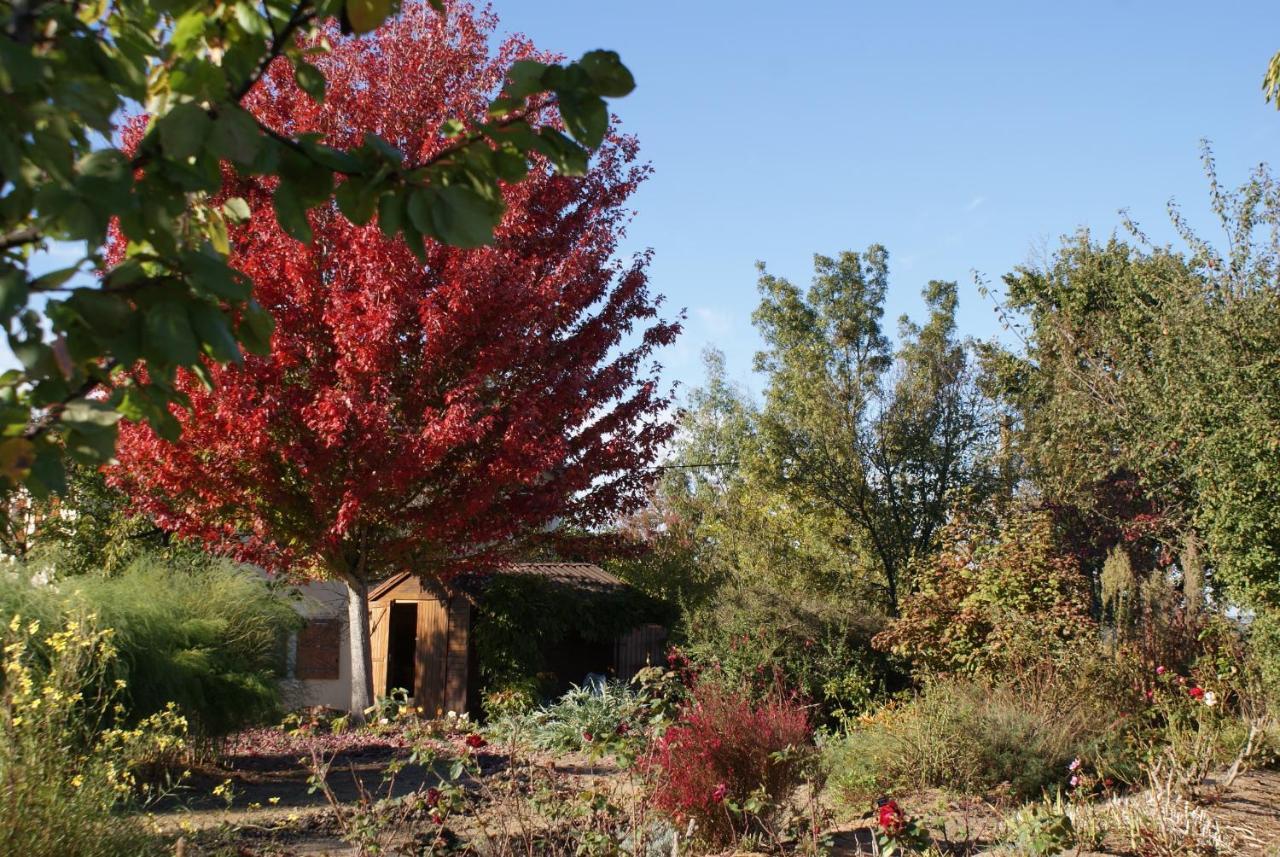 Au Pichet Bed & Breakfast Saint-Orens Exterior photo