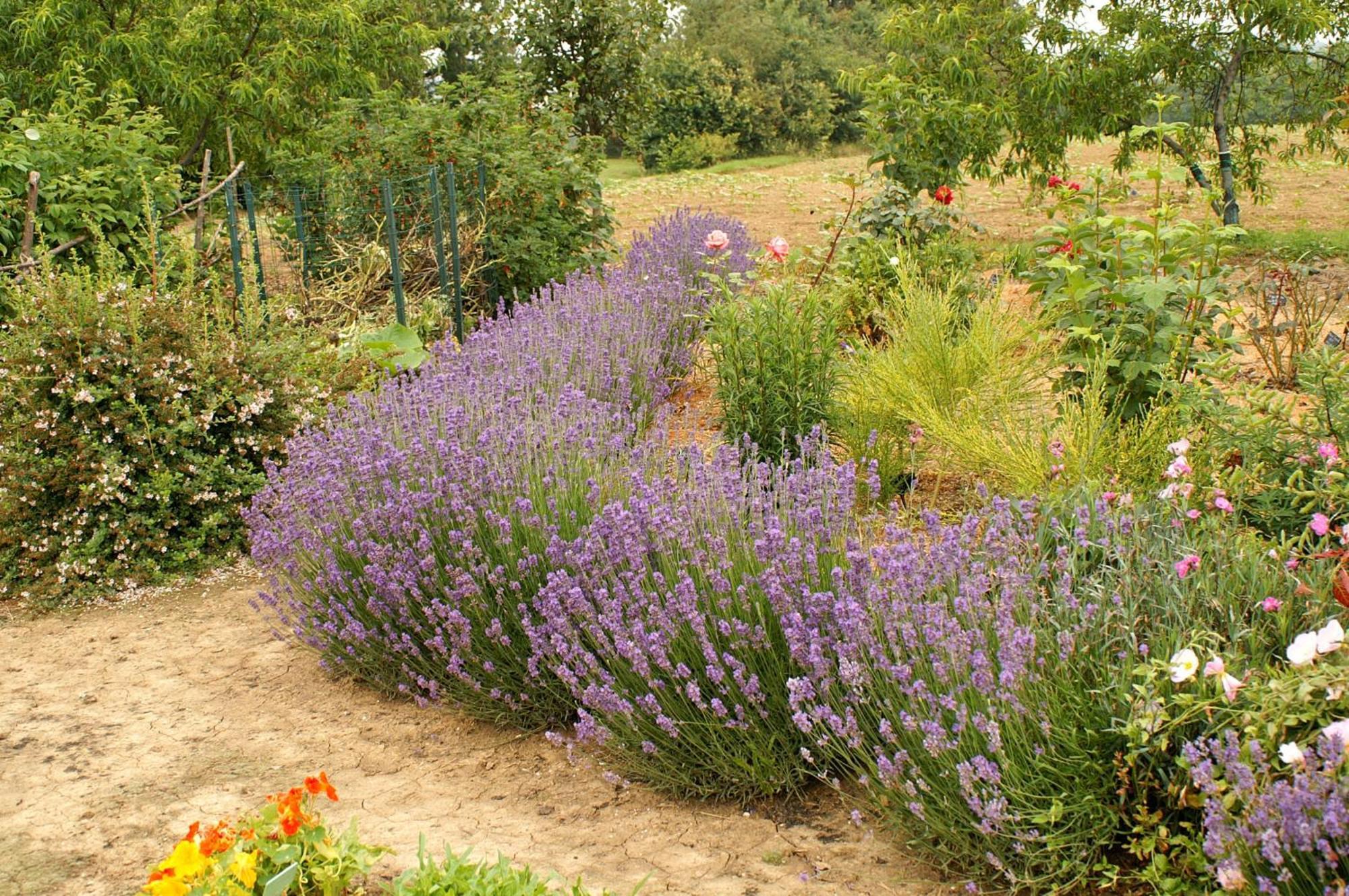 Au Pichet Bed & Breakfast Saint-Orens Room photo