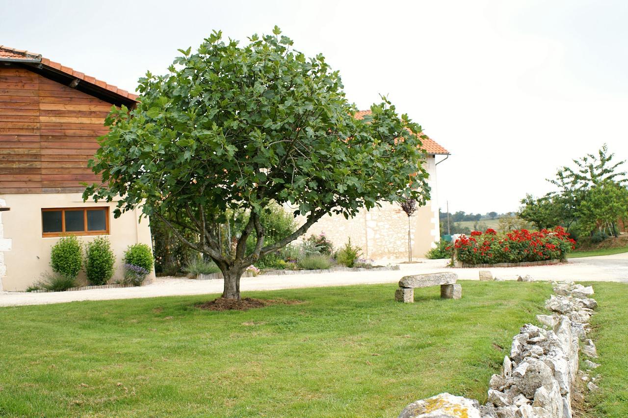 Au Pichet Bed & Breakfast Saint-Orens Exterior photo